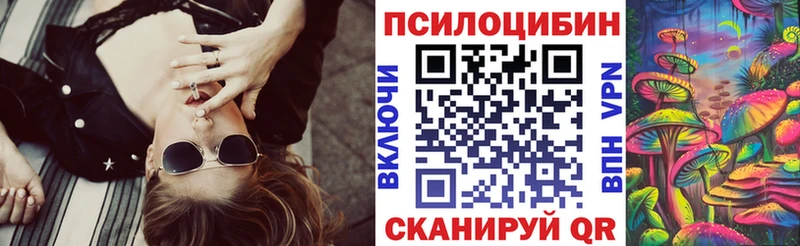 blacksprut вход  магазин продажи наркотиков  Камызяк  Галлюциногенные грибы Psilocybine cubensis 